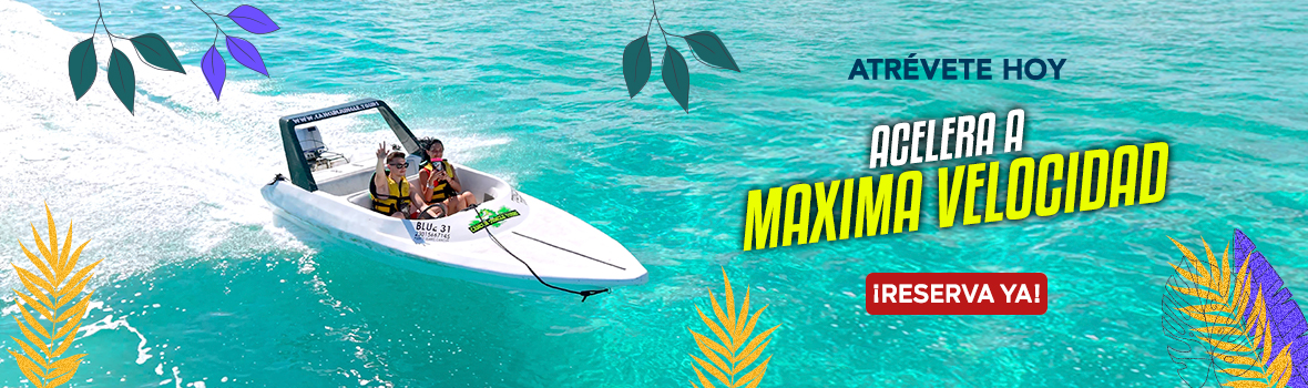 Cancún Jungle Tours