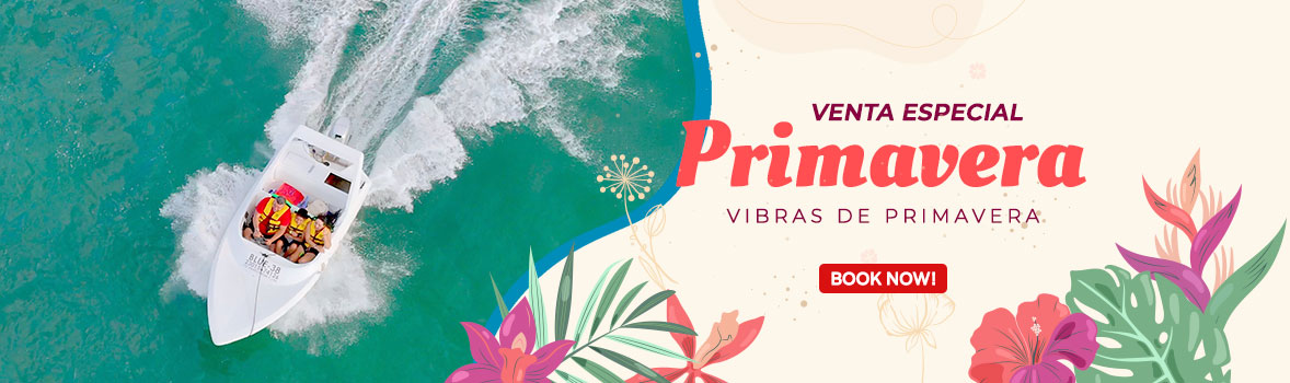 primavera