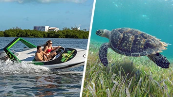 Cancún Jungle Tours